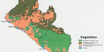 Kartes veģetācijas karte Libērijas
